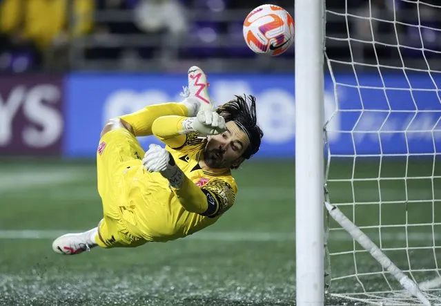 Cavalry FC goalkeeper Marco Carducci allows a goal to Orlando City's Facundo Torres, not seen, during the first half of a CONCACAF Champions Cup soccer match in Langford, British Columbia, Wednesday, February 21, 2024. (Photo by Darryl Dyck/The Canadian Press via AP Photo)