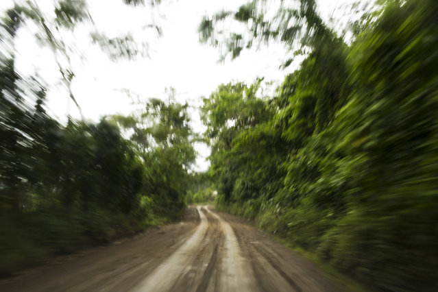 This March 16, 2015 photo, a rural road is seen in La Mar, province of Ayacucho, Peru. While authorities say most of the drugs in the region are now flown out, backpacking is dependable in the rainy season, cheaper than hiring a pilot and plane – and key to evading police checkpoints. Backpackers, or “mochileros”, (“mochila” is Spanish for backpack), have been hauling cocaine this way for nearly two decades. (Photo by Rodrigo Abd/AP Photo)