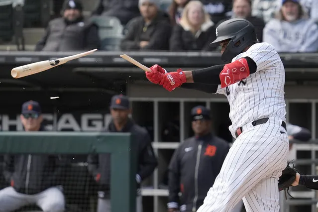 Chicago White Sox's Eloy Jimenez breaks his bat as he grounds out during the first inning of a baseball game against the Detroit Tigers in Chicago, Sunday, March 31, 2024. (Photo by Nam Y. Huh/AP Photo)
