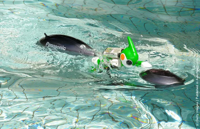 The 'Evolta' swim robot