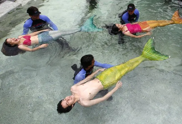 Filipino instructors teach participants how to swim like mermaids during the “Mermaid Swim Experience” at Manila Ocean Park, Manila, the Philippines, 11 April 2014. This summer, the Park offers the a special swimming instruction for those who want to fulfill their dream to become mermaids. A 45-minute program features basic swimming, how to glide with fish tail underwater and proper breathing techniques. (Photo by Ritchie B. Tongo/EPA)