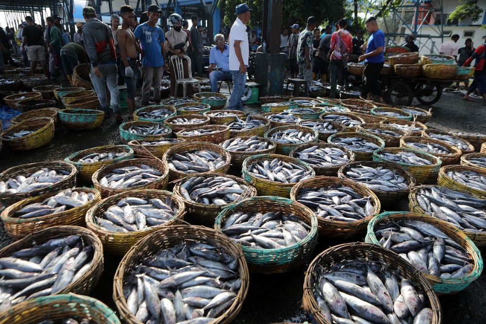 A Look at Life in Indonesia