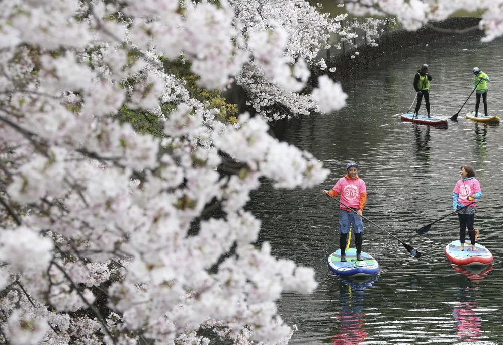 A Look at Life in Japan