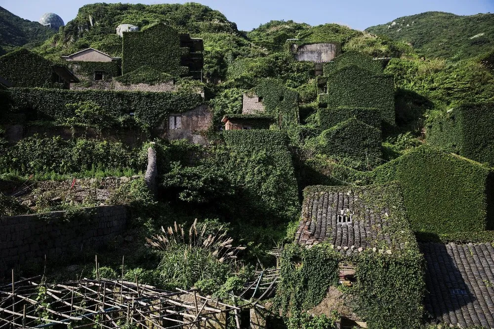 Creeping Vines, Abandoned Village