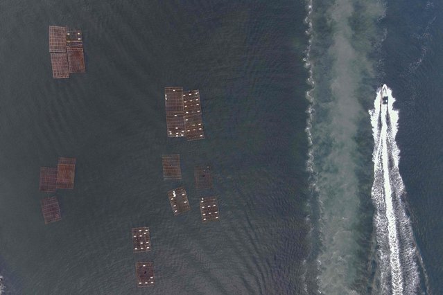 This picture taken on July 5, 2024 shows an aerial view of a speedboat sailing past an oyster farm at the Anping Harbor in Tainan. Growing up in Taiwan's west coast where shellfish farming is popular, Eddie Wang remembers how discarded oyster shells could be transformed from waste to function – a memory that inspired his factory's unique and environmentally friendly “seawool”. (Photo by Sam Yeh/AFP Photo)