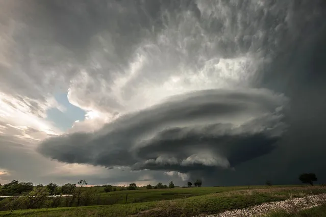 The rotating updraft base of a supercell thunderstorm, and a rear flank downdraft containing rain and hail, backlit by the setting sun, on May 10, 2014, in Climax, Kansas, United States. To most of us, dark clouds on the horizon usually means rain – but here in Kansas, they can also signal the start of a supercell. The huge formations, also known as rotating thunderstorms, are among the most powerful weather phenomenon found over land. (Photo by Stephen Locke/Barcroft Media)