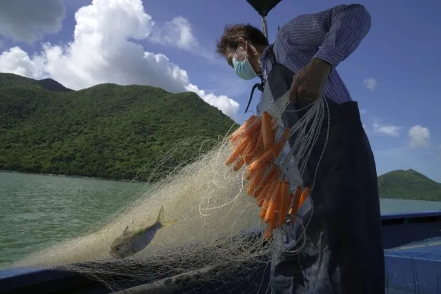 A fisherman Ng Koon-hee catches a fish in Tai O village of Hong Kong, Saturday, June 25, 2022. The Ng brothers, fishermen living in the remote Hong Kong village of Tai O, have carried on with their lives since moving from the Chinese mainland in the 1950s, untouched by political campaigns and even Britain's handover of the city to Chinese control in 1997. (Photo by Kin Cheung/AP Photo)