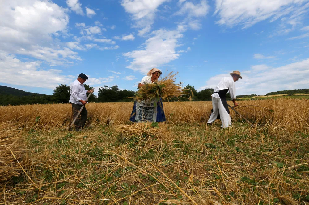 Harvest Festival in Hungary