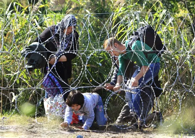 Syrian migrant family cross under a fence as they enter Hungary at the border with Serbia, near Roszke, August 28, 2015. (Photo by Bernadett Szabo/Reuters)