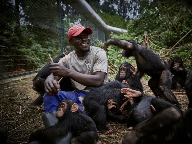 Caretaker Ephraim Ngiribwa tends to baby orphaned chimpanzees at Lwiro Primates centre in Lwiro, South Kivu, the Democratic Republic of the Congo, 05 March 2020. (issued 17 March 2020) Chimpanzees in DR Congo are threatened by deforestation and poaching. Poachers will often kill a chimpanzee family for bushmeat and capture infants for sale, deeply traumatising them. “As a caretaker, I watch them, make sure they don't fight, I watch for disease and problems.... its step by step, we create a friendly atmosphere amongst them, they have to get used to one another and learn to be a new family”.The Democratic Republic of Congo is home to some of the world’s most biodiverse locations, however, conflict, poachers and lawlessness are a constant threat to the unique species inhabiting the forests. Conservation authorities have created a safe haven for threatened chimpanzees and several other species of monkey. Orphaned by poaching, saved from the pet or bushmeat trade, rescued primates are often traumatised and medically vulnerable. (Photo by Hugh Kinsella Cunningham/EPA/EFE)