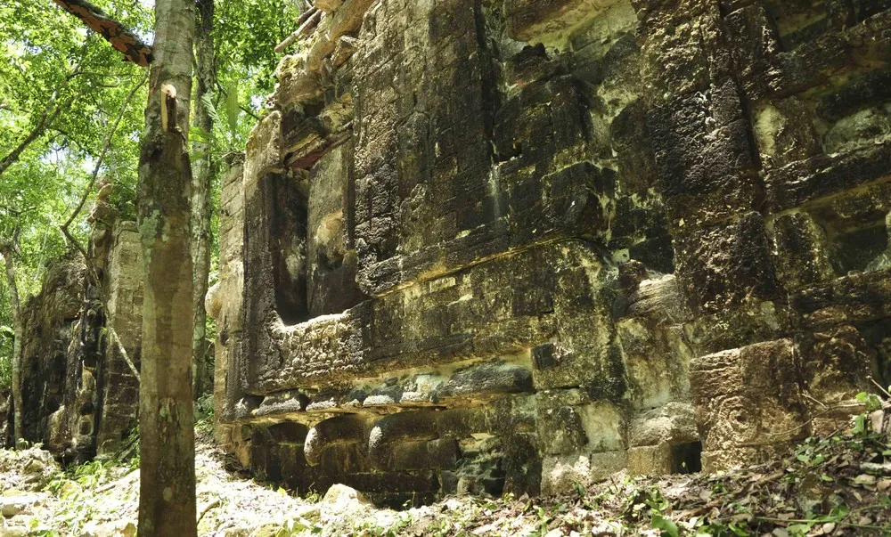 Mayan Cities Found in Mexican Jungle