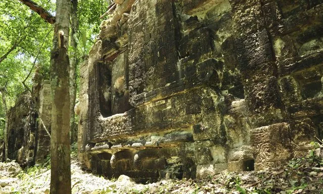 A photograph released to Reuters on August 22, 2014 shows the remains of an ancient Mayan city in Lagunita May 13, 2014. (Photo by Reuters/Research Center of the Slovenian Academy of Sciences and Arts)