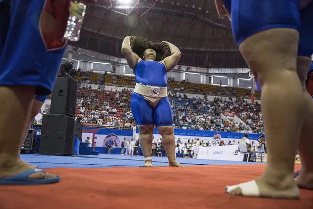 A Mongolian wrestler adjusts her hair before a match during the 2016 World Sumo Championship on July 30, 2016 in Ulaanbaatar, Mongolia. (Photo by Taylor Weidman/Getty Images)