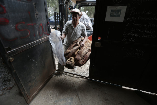 A grave cleaner carries a mummified body towards the mass grave at the Verbena cemetery February 28, 2013. (Photo by Jorge Dan Lopez/Reuters)