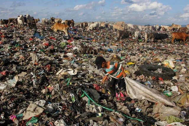 A boy searches for useable items at a garbage dump in Antang, Indonesia on January 26, 2022. (Photo by Andri Saputra/AFP Photo)