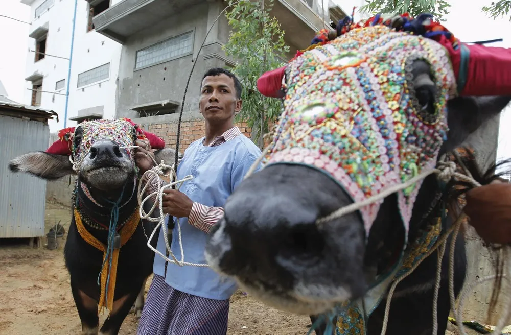 Ceremonies this Week