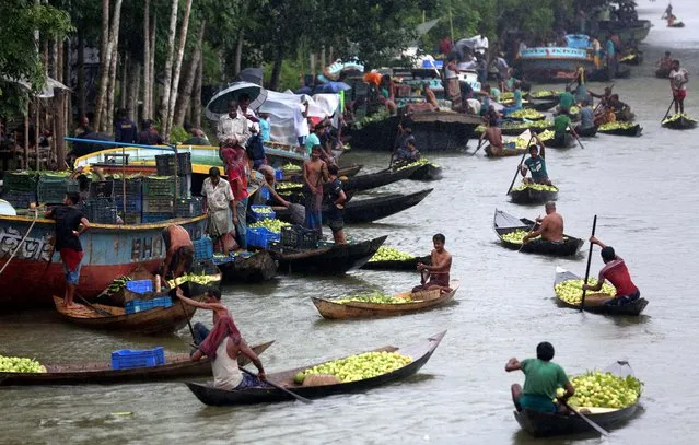 Farmers row boats loaded with guavas on their way to a floating market in Barisal, Bangladesh on August 16, 2020. Thousands of farmers earn their livelihood growing and selling these guavas. Guava, a berry-like fruit, is often called the “apple of the tropics”. Although it originated in tropical America (in the land between Mexico and Peru), today it is one of the important fruit crops of Bangladesh, where its grown all over the country. The southern region of Bangladesh, especially districts of Barisal, Pirojpur, and Jhalbokathi, are the main Guava-producing areas. Nobody is certain when exactly this floating market began, but the tradition is at least a century old. (Photo by Sony Ramany/NurPhoto via Getty Images)