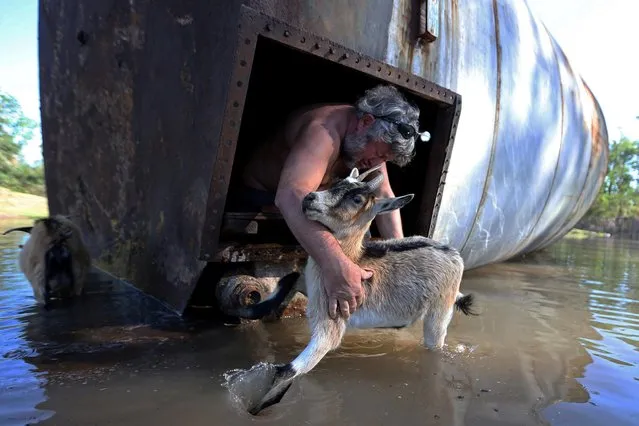 Brian Schexnayder rescues his goat from a damaged silo on his farm after Hurricane Delta in Iowa, Louisiana, U.S., October 10, 2020. (Photo by Jonathan Bachman/Reuters)