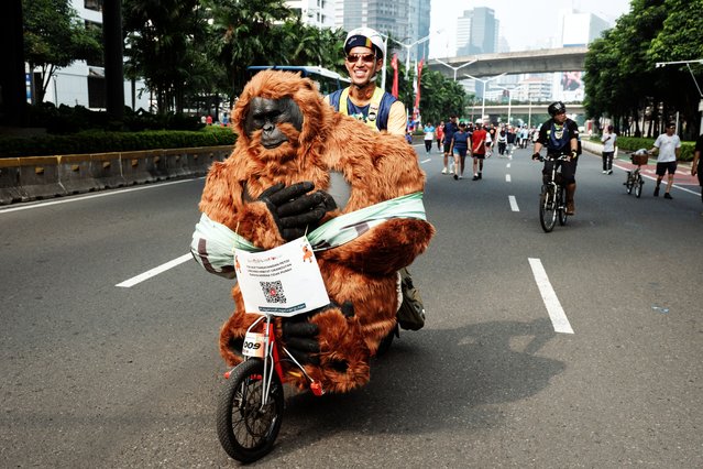A participant rides a bicycle carrying an orangutan mascot costume as he attends an awareness action calling for the protection of orangutans, organised by local environmental NGO Satya Bumi to mark World Orangutan Day, observed on August 19, during Car Free Day in Jakarta on August 24, 2025. (Photo by Yasuyoshi Chiba/AFP Photo)