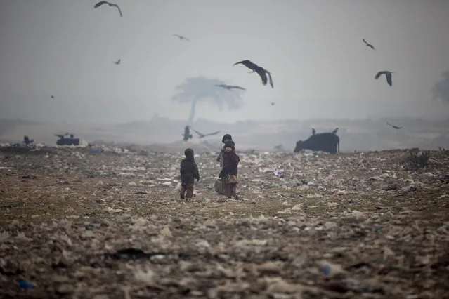An Afghan refugee child looks back while she and others collect useful items from a garbage dump, on the outskirts of Islamabad, Pakistan, Tuesday, December 23, 2014. (Photo by Muhammed Muheisen/AP Photo)