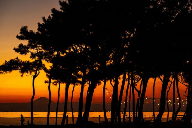 People are seen on the beach as Mount Fuji is seen in the background from the Inage Seaside Park in Chiba city, a suburb of Tokyo during evening hour on November 19, 2025. (Photo by Philip Fong/AFP Photo)