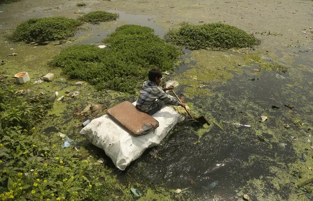 A young boy collects plastic and other recyclable material from the polluted waters of Babdemb lake on World Environment Day in Srinagar, Indian controlled Kashmir, Tuesday, June 5, 2018. (Photo by Mukhtar Khan/AP Photo)