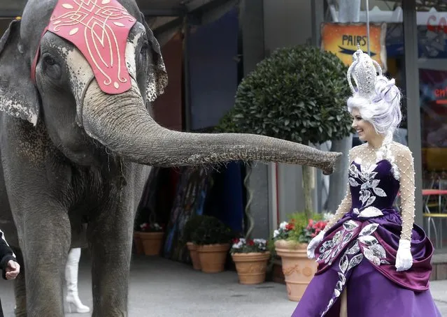 An elephant poses with a circus performer during the presentation of the 39th Monte-Carlo International Circus Festival in Monaco, Tuesday, January 13, 2015.The Circus Festival takes place from Jan. 15 to Jan. 25. (Photo by Lionel Cironneau/AP Photo)