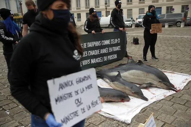 Activists stand by four dead dolphins they spread on the cobblestones outside France's parliament, in Paris, Tuesday February 2, 2021 to urge safer fishing industry practices to protect dolphins from fatal encounters with fishing nets. The banner reads “Thousands of dolphins like these are massacred each year in France so that you can eat fish”. (Photo by Christophe Ena/AP Photo)