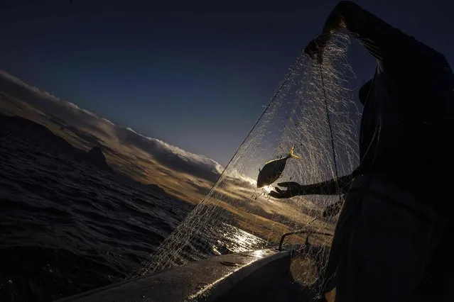 Fishermen pull nets out of the water into their boat near the shore of Copacabana Beach in Rio de Janeiro, Brazil on May 23, 2023. Every day at dawn, Manoel Rebouças tows his small motorboat from the sand into the sea at Copacabana. This corner of Rio de Janeiro's most famous beach is home to a centuries-old colony of fishermen struggling to stay alive. Predatory fishing (industrial or artisanal), “which is not sustainable”, together with the lack of interest of the new generations, threatens the continuity of the profession, he says. (Photo by Carl de Souza/AFP Photo)