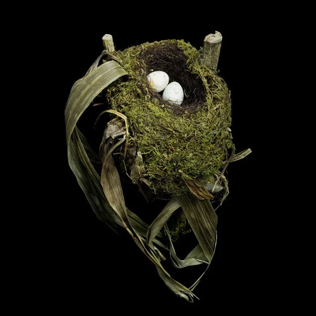 Bird Nest By Sharon Beals Part2