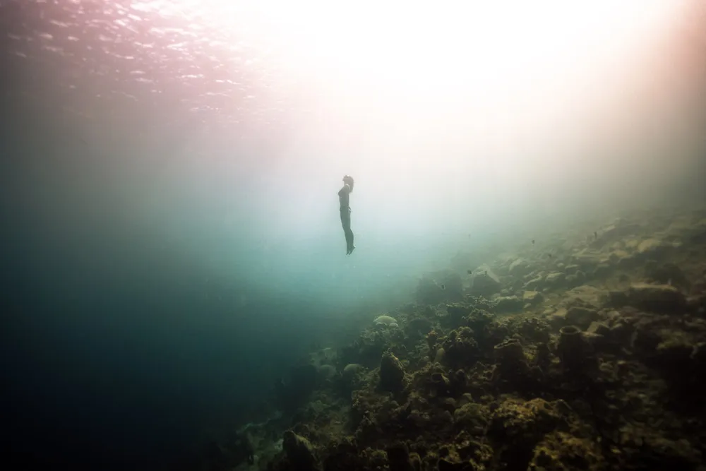 Some Photos: Caribbean Dive