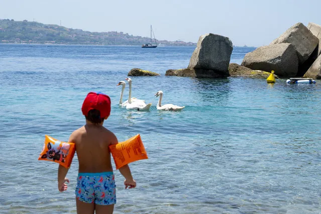 A child watches swans off the Torre Faro Pilone beach, near Messina, on the island of Sicily, during a heat wave on July 16, 2023. Tens of millions of people were battling dangerously high temperatures around the world on July 16, 2023, as record heat forecasts hung over parts of the United States, Europe and Asia, in the latest example of the threat from global warming. (Photo by Giovanni Isolino/AFP Photo)