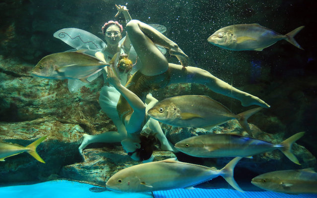 An underwater ballet performance is held by two dancers at the 63 Sea World aquarium, in Seoul, South Korea, 04 March 2015. The 63 Sea World aquarium was opened in 1985 and is the first public aquarium of South Korea. (Photo by EPA/Yonhap)