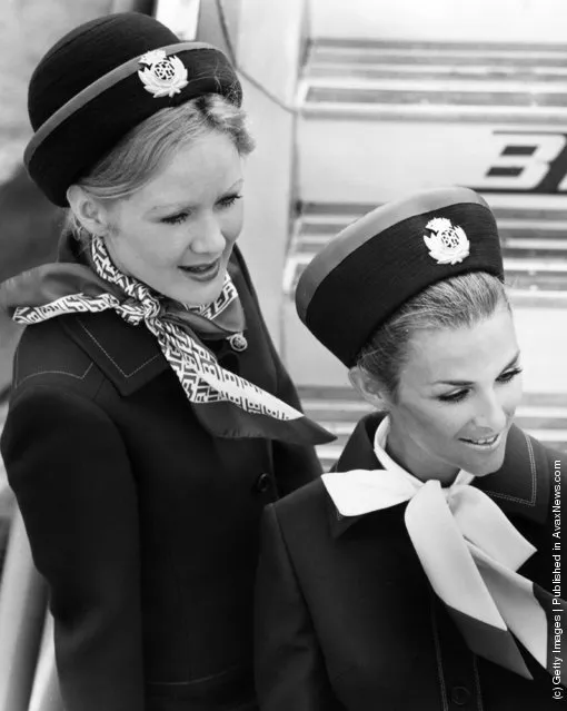 stewardesses