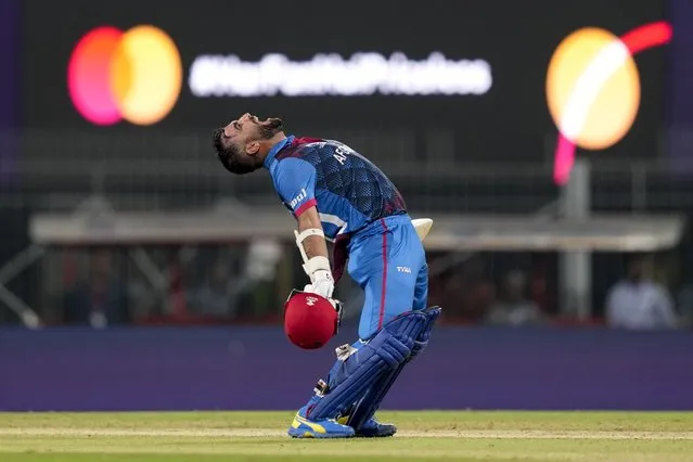 Afghanistan's captain Hashimatullah Shahidi celebrates their win against Pakistan during the ICC Men's Cricket World Cup match between Pakistan and Afghanistan in Chennai, India, Monday, October 23, 2023. (Photo by Eranga Jayawardena/AP Photo)