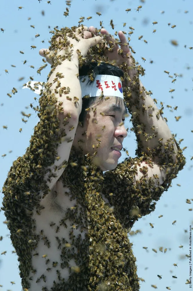 Bee Keeper Protests Japanese Claims On Islands