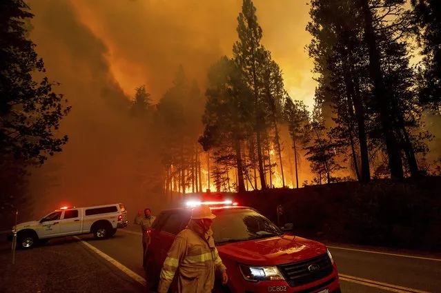Flames leap from trees as the Dixie Fire jumps Highway 89 north of Greenville in Plumas County, Calif., on Tuesday, August 3, 2021. Dry and windy conditions have led to increased fire activity as firefighters battle the blaze which ignited July 14. (Photo by Noah Berger/AP Photo)