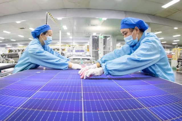 Employees work on solar photovoltaic modules at a factory in Haian in China's eastern Jiangsu province on November 21, 2023. (Photo by AFP Photo/China Stringer Network)