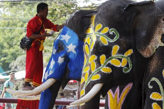 A Thai mahout paints an elephant in celebration of the Songkran water festival in Thailand's Ayutthaya province, north of Bangkok, April 10, 2015. Songkran, the most celebrated festival of the year, marks the start of Thailand's traditional New Year. (Photo by Chaiwat Subprasom/Reuters)