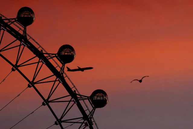 A plane flies past the London Eye in London, Britain on November 22, 2023. (Photo by Hannah McKay/Reuters)