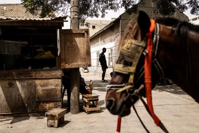 A man stands in a side street behind a horse in Dakar, on February 20, 2024. (Photo by John Wessels/AFP Photo)