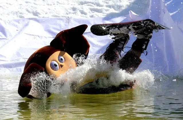 A snowboarder dressed in a Cheburashka costume falls into a pool of water during a humorous snowboard competition marking the end of winter season celebrations in the village of Silichi, some 45 km outside of Minsk, in Belarussia, on March 30, 2014. (Photo by Viktor Drachev/AFP Photo)