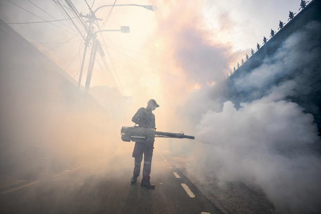 A pest control officer fumigates a street with insecticides in Jakarta on May 8, 2024 amid efforts to stop the spread of dengue fever mosquitoes. (Photo by Bay Ismoyo/AFP Photo)