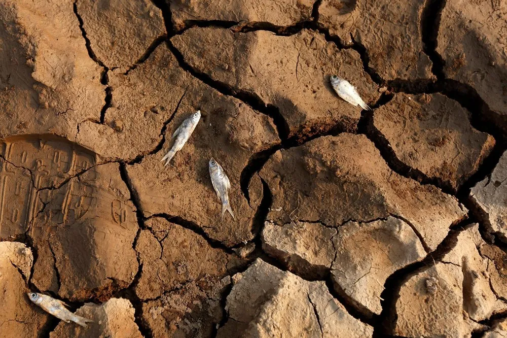 Drought in Cambodia
