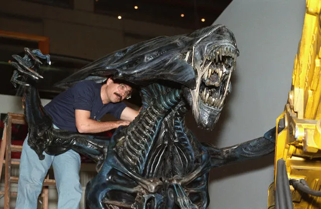 Jim Engelhardt of the California Museum of Science and Industry secures the head of the Alien Queen from the movie “Alien” at the Museum of Science in Boston, Sept. 24, 1988. (Photo by Susan Walsh/AP Photo)