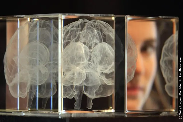 A visitor looks at an artwork entitled 'My Soul' by Katharine Dowson which consists of a laser etched lead chrystal glass formation in the shape of a brain, and was created using the artists own MRI Scan