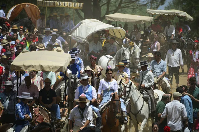 Pilgrims on horses, carts or by foot cross the Quema river during the annual El Rocio pilgrimage in Villamanrique, near Sevilla on June 1, 2017. El Rocio pilgrimage is the largest in Spain with hundreds of thousands of devotees wearing traditional outfits converging in a burst of colour as they make their way on horseback and decorated carriages across the Andalusian countryside. (Photo by Cristina Quicler/AFP Photo)