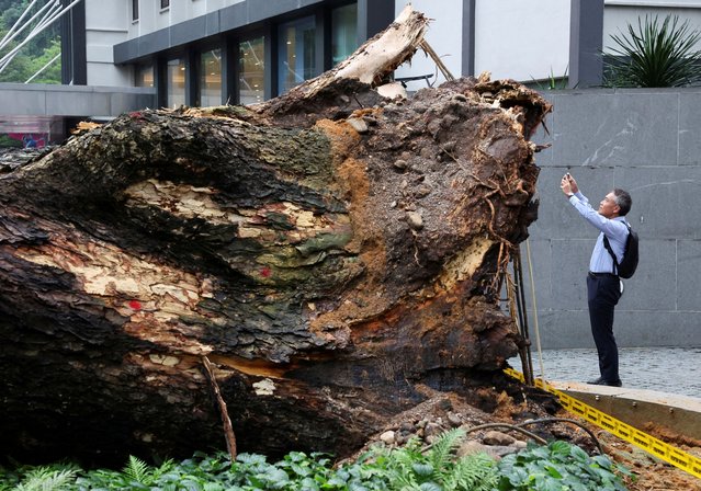 A man clicks a picture of a tree fallen across Jalan Sultan Ismail, one of Kuala Lumpur's busiest roads smashing multiple cars and disrupting monorail service, in Kuala Lumpur, Malaysia on May 7, 2024. (Photo by Hasnoor Hussain/Reuters)