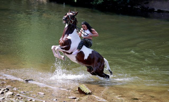 A member of the traveller community holds on to the reins of her horse as it rears up after swimming in the river Eden during the annual horse fair in Appleby-in-Westmorland, Britain on June 8, 2023. (Photo by Phil Noble/Reuters)