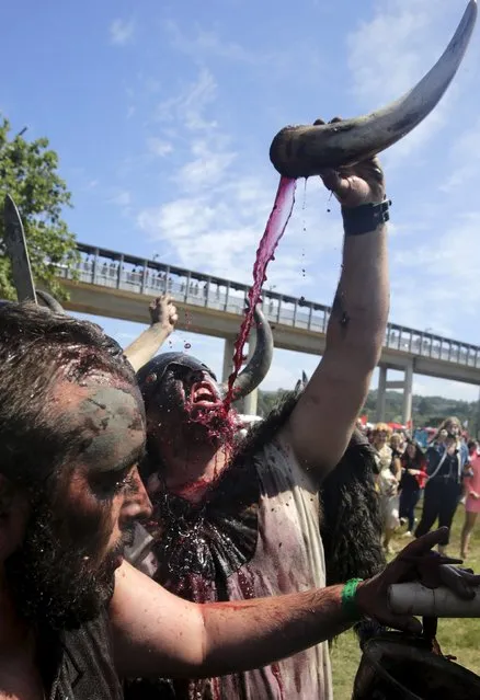 A man dressed as a Viking drinks local red wine during the annual Viking festival of Catoira in north-western Spain August 2, 2015. (Photo by Miguel Vidal/Reuters)